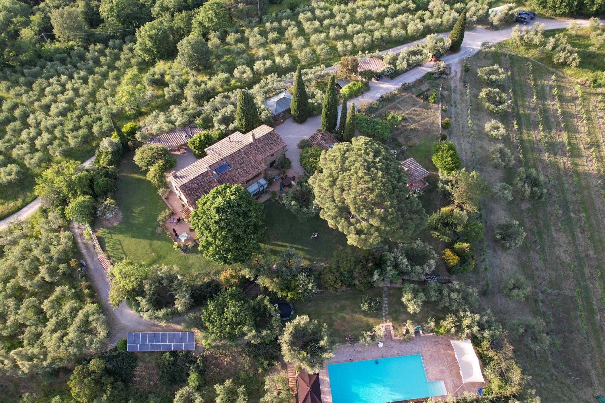 Вілла Fontanaro Farm And Culinary School Paciano Екстер'єр фото