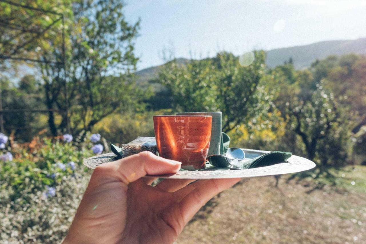 Вілла Fontanaro Farm And Culinary School Paciano Екстер'єр фото